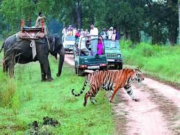New Delhi, Travel, Corbett National Park Package 2 Nights 3 Days INR:6900/-
