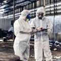 Professional Asbestos Management Survey For Safe & Compliant Properties