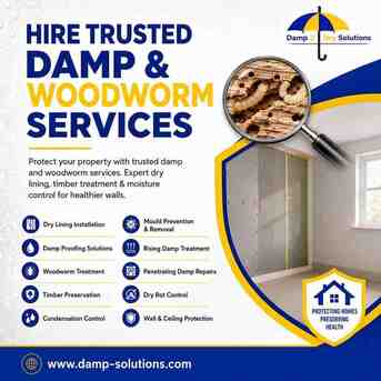 London, Household, Affordable Damp Proofing & Woodworm Help