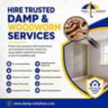 Affordable Damp Proofing & Woodworm Help