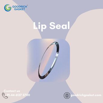 Washington DC, Industrial Machinery, Top Lip Seal For Smooth Industrial Performance