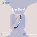 Top Lip Seal For Smooth Industrial Performance