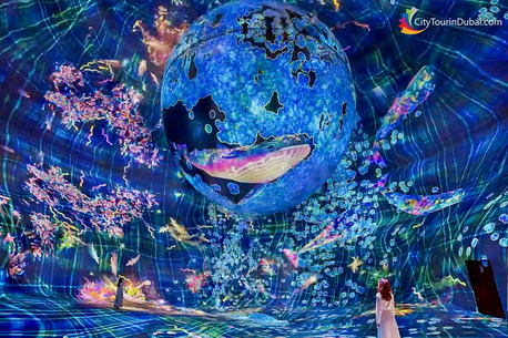 Abu Dhabi, Travel, Family Adventures At Teamlab Phenomena Abu Dhabi