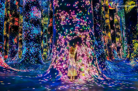 Abu Dhabi, Travel, Family Adventures At Teamlab Phenomena Abu Dhabi
