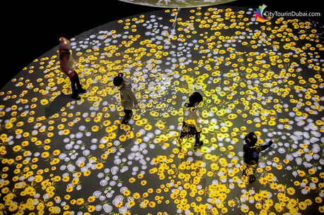 Abu Dhabi, Travel, Family Adventures At Teamlab Phenomena Abu Dhabi