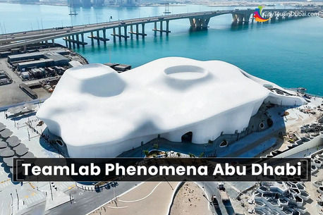 Abu Dhabi, Travel, Family Adventures At Teamlab Phenomena Abu Dhabi