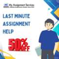 Urgent Last Minute Assignment Help With 50% Off For Students