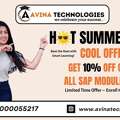 SAP Training Institute In Hyderabad &ndash; Avina Technologies