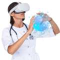 Online Anatomy Education Courses For Better Learning