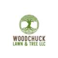 Immediate Tree Care In Critical Situations