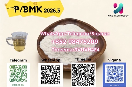 Faisalabad, RC Hobby, PKR 56,  China Factory NEW PMK BMK CAS 1009-14-9 Raw Materials Precursor In Stock Safe Delivery Fi