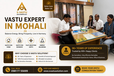 Mumbai, Business, Vastu Expert In Mohali