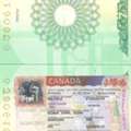 Canada 🇨🇦 Work Visa And Visit Visa 🍁
