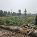 INR 35000,  222 Sq. Yard,  Hmda & Rera Approved Open Plots For Sale At Thukkuguda At Inside Orr 14