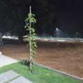 INR 21000,  146 Sq. Meter,  HMDA & RERA APPROVED OPEN PLOTS IN EXIT 12 RAMDHASPALLY @ 9392311420