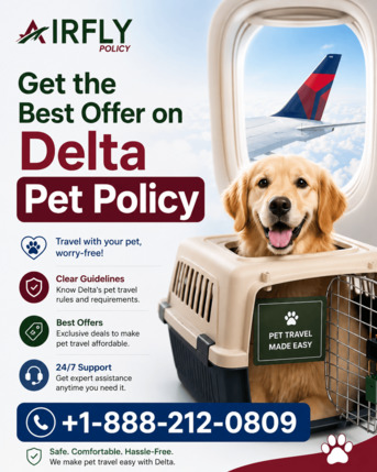 New York, Travel, Get The Best Offer On Delta Pet Policy Call +1-888-212-0809