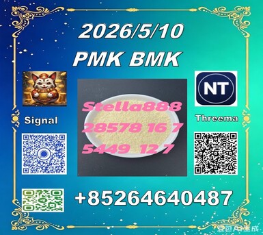 Hong Kong, Computers, CNY 100,  CAS 5449-12-7 BM.K And Cas 28578-16-7 PM.K /New Product In Stock