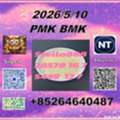 CNY 100, CAS 5449-12-7 BM.K And Cas28578-16-7 PM.K /New Iterms In Stock