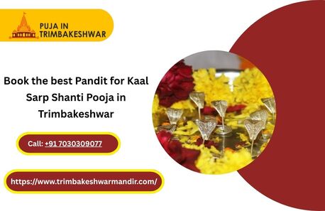 Mumbai, Business, Book The Best Pandit For Kaal Sarp Shanti Pooja In Trimbakeshwar