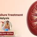 Kidney Failure Treatment Without Dialysis In Bhopal: Natural Care That Works