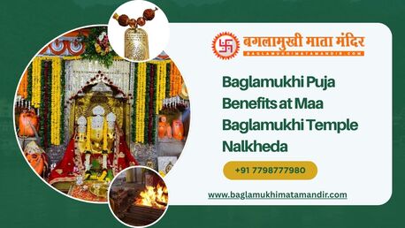 Bhopal, Business, Powerful Baglamukhi Puja Benefits At Maa Baglamukhi Temple Nalkheda