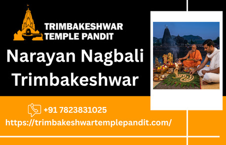 Mumbai, Business, Narayan Nagbali Trimbakeshwar Puja By Experienced Pandit