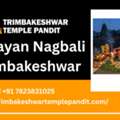 Narayan Nagbali Trimbakeshwar Puja By Experienced Pandit