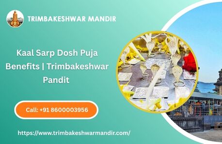Mumbai, Business, Kaal Sarp Dosh Puja Benefits | Trimbakeshwar Pandit