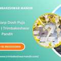 Kaal Sarp Dosh Puja Benefits | Trimbakeshwar Pandit