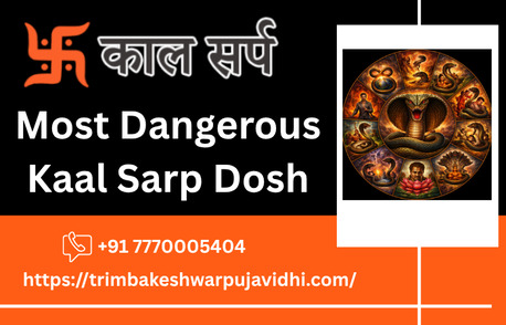 Mumbai, Business, Most Dangerous Kaal Sarp Dosh Solutions With Simple Vedic Remedies