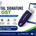 INR 1500,  Digital Signature For Provider In Delhi For GST