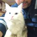 Free Adoption (Urgent)