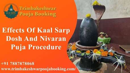 Mumbai, Career Counseling, Effects Of Kaal Sarp Dosh And Nivaran Puja Procedure