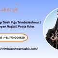 Kaal Sarp Dosh Puja Trimbakeshwar | Narayan Nagbali Pooja Rules