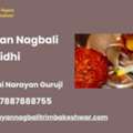 Trimbakeshwar Narayan Nagbali Puja Vidhi By Pandit Jai Narayan Guruji