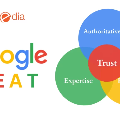 Bangalore, Local News, What Is E-E-A-T In SEO?