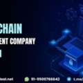 Bring Transparency And Trust To Business With Blockchain Development