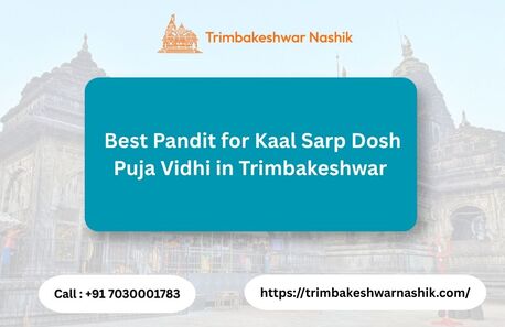 Mumbai, Business, Best Pandit For Kaal Sarp Dosh Puja Vidhi In Trimbakeshwar
