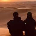 Desert Night Safari & Stargazing Experience