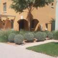 Landscaping/gardener