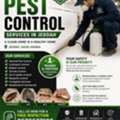 Best Pest Control Services In Riyadh