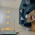 SAR 1045/month,  2 BR,  2BHK Family Flat For Rent With Household Items &ndash; 1125 SAR Monthly Rent