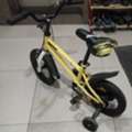 BHD 10,  Cycle