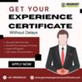 Experience Certificates Provider In Chennai