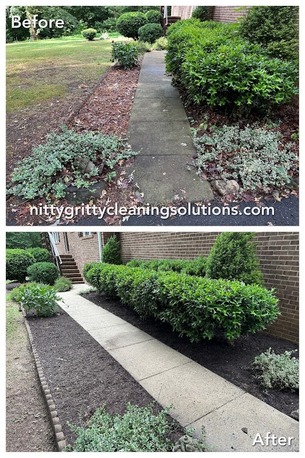 New York, Cleaning, Nitty Gritty Cleaning Solutions