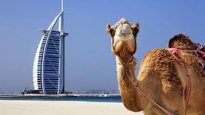 New Delhi, Travel, Memorable Vacation At Dubai 4 Nights 5Days INR:48,000/-