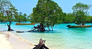 New Delhi, Travel, Panoramic Island Trip 5 Nights 6Days Andman Package 43,000/-