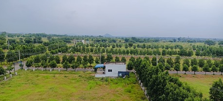 Hyderabad, Residential Plots, INR 12500,  183 Sq. Yard,  DTCP & RERA Approved Open Plot For Sale@ Nandhiwanaparthy