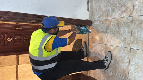 Taif, Pest Control, Termites = Hidden Destruction. 🐜🏚️