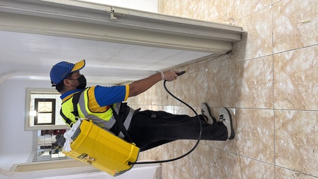 Taif, Pest Control, Termites = Hidden Destruction. 🐜🏚️
